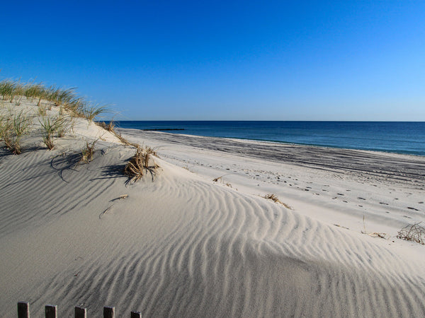 The Calm Ocean Dunes